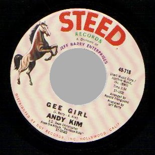 ANDY KIM - Baby I love you / Gee girl - 45T (SP 2 titres)