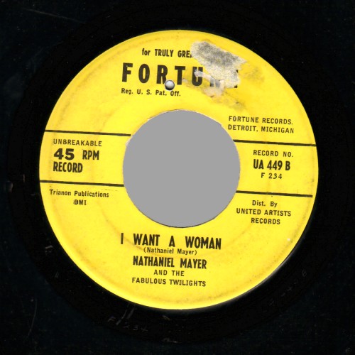 NATHANIEL MAYER & THE FABULOUS TWILIGHTS - Village of Love / I Want A Woman - 45T (SP 2 titres)