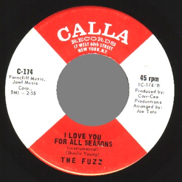 THE FUZZ - I love you for all seasons / same instr - 45T (SP 2 titres)