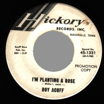 I'm Planting A Rose