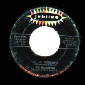 Raindrops What A Guy / It'S So Wonderful 7''