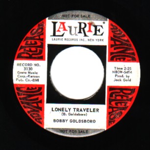 Lonely Traveler